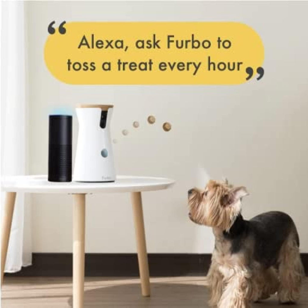 360° Cat Camera: See Your Cat from Anywhere | Rotating 360° Cat Tracking, Treat Toss, Color HD Night Vision, 2-Way Audio, Real-Time Notifications, Designed for Cats | Pet Camera w/Phone App