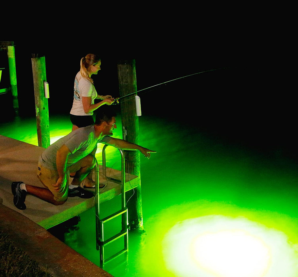 Light Extra Bright Vibrant Green 250W Single Light for Docks with 50’ of Marine Grade Wire, Easy to Install, Dusk to Dawn Operation, Salt or Fresh Water, Guaranteed to Attract Fish